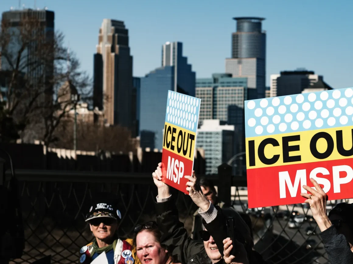 ICE Minnesota drawdown court filings