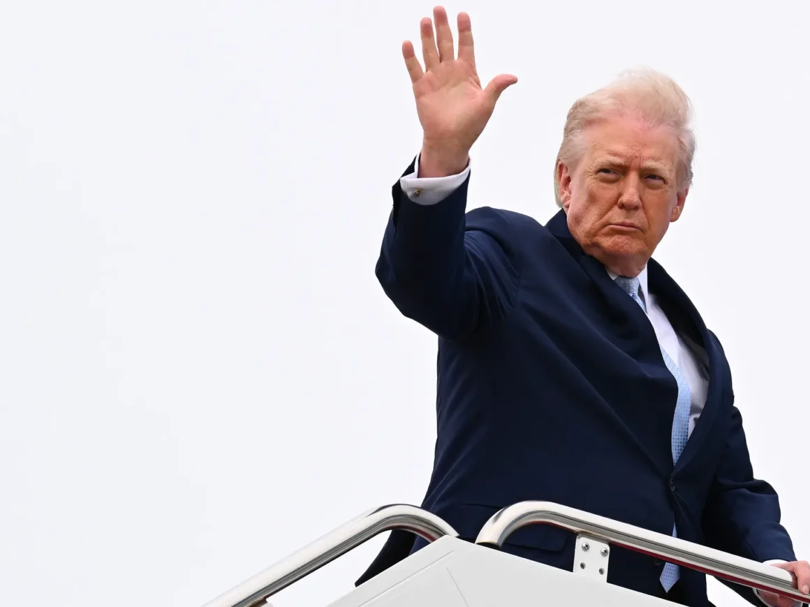 Trump suspends Iran strikes Hormuz negotiations