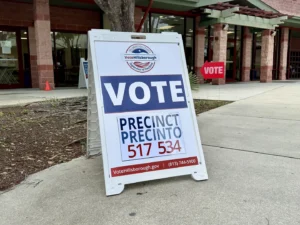 Tampa state senate election 2026