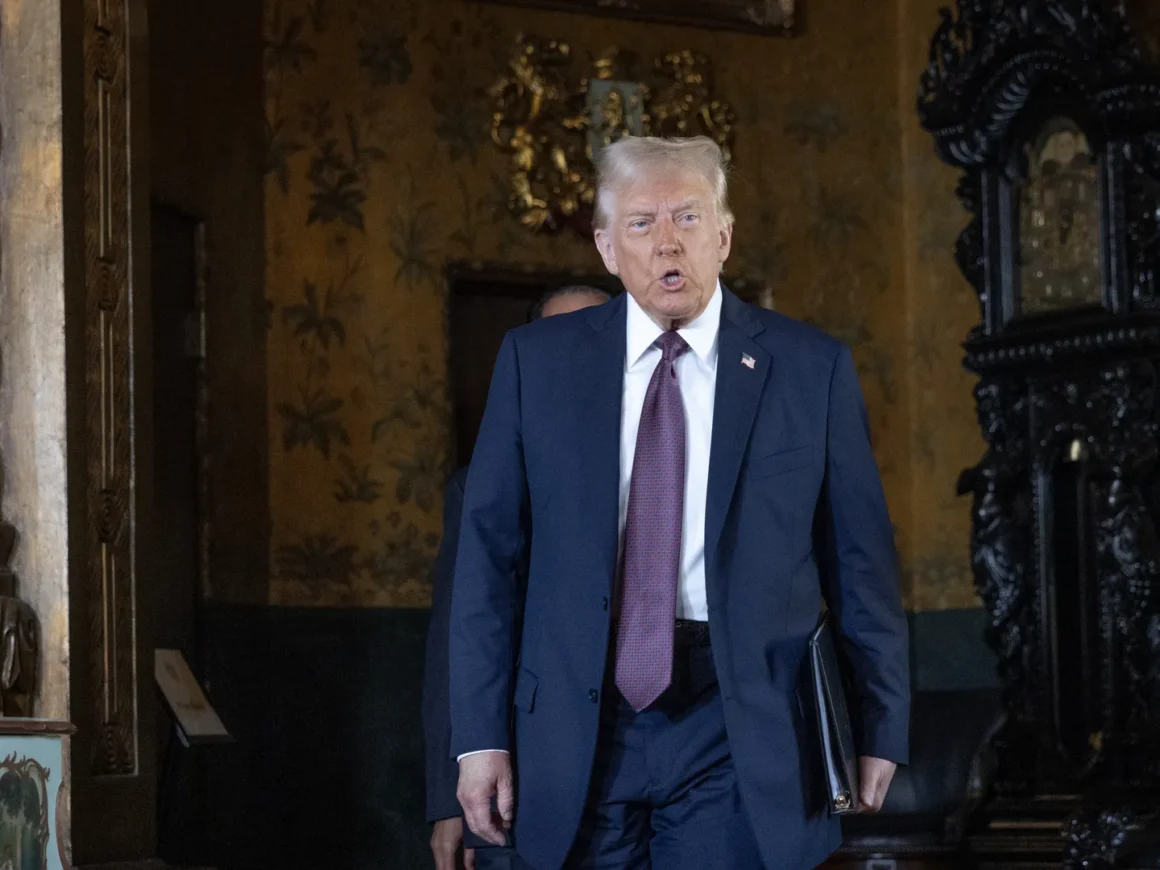 Emily Gregory Florida special election