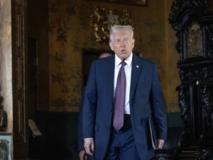 Emily Gregory Florida special election