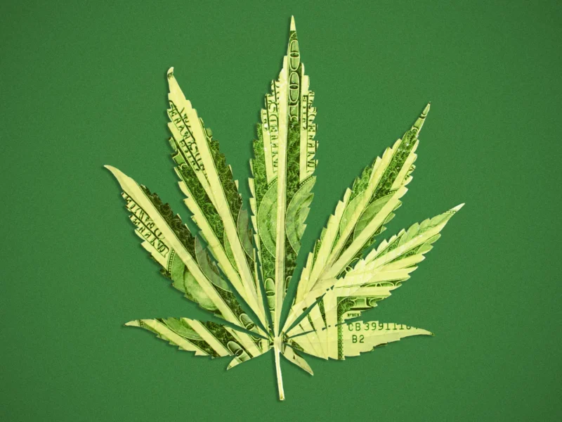 Massachusetts medical cannabis dispensary